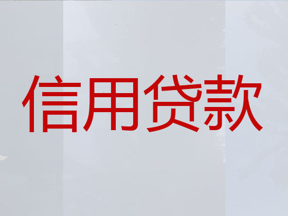 河池抵押贷款-信用贷款